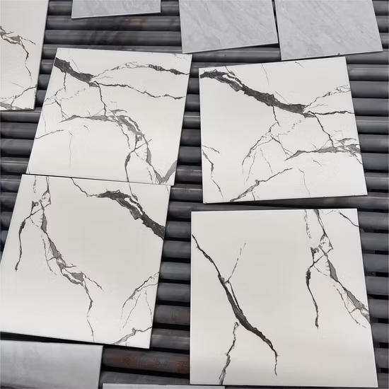 Piastrella per pavimenti in piastrelle di ceramica antiche rustiche in porcellana di cemento Trusus 600X600mm